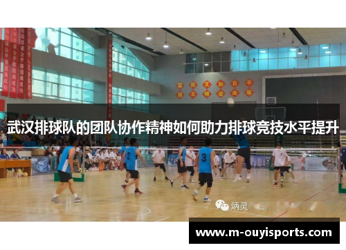 武汉排球队的团队协作精神如何助力排球竞技水平提升