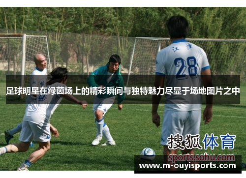 足球明星在绿茵场上的精彩瞬间与独特魅力尽显于场地图片之中