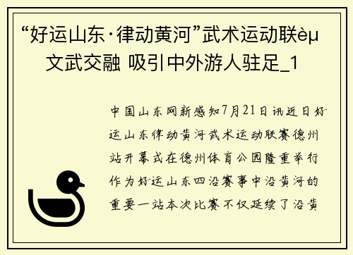 “好运山东·律动黄河”武术运动联赛 文武交融 吸引中外游人驻足_1